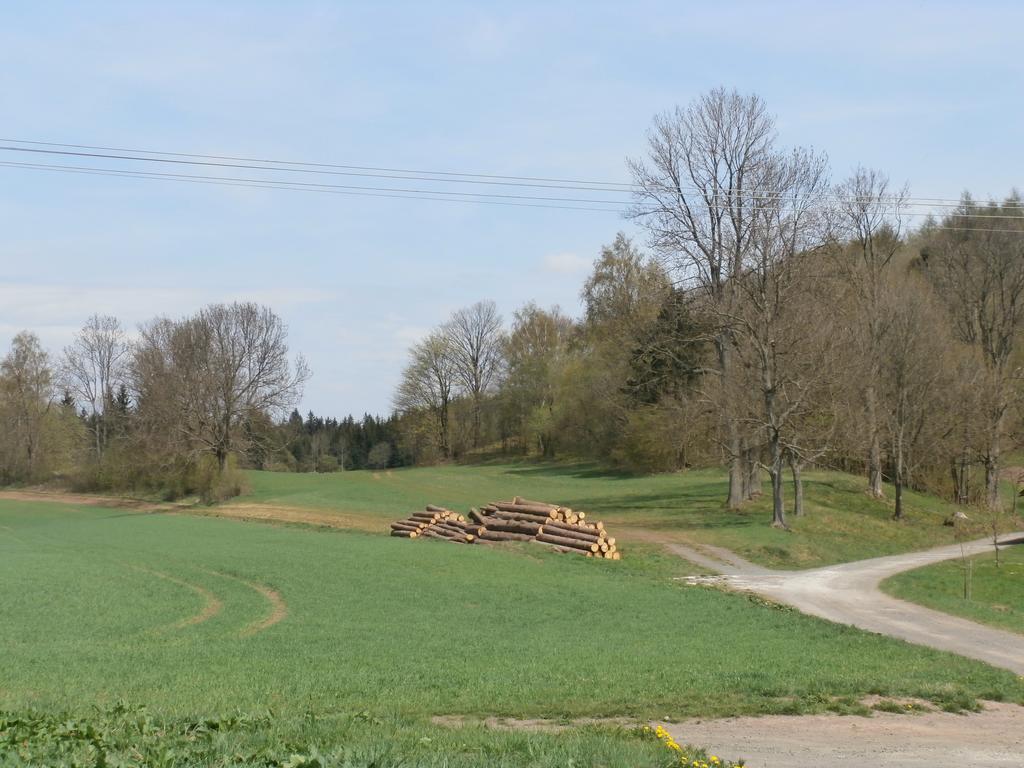 Apartmany Na Rozcesti Lomnice nad Popelkou 客房 照片